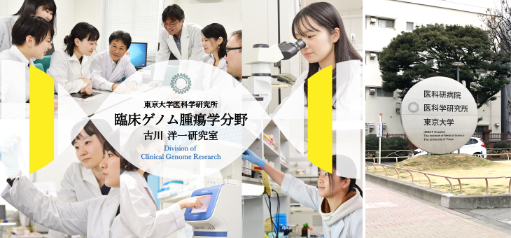 東京大学医科学研究所 臨床ゲノム腫瘍学のホームページ制作で感じたこと